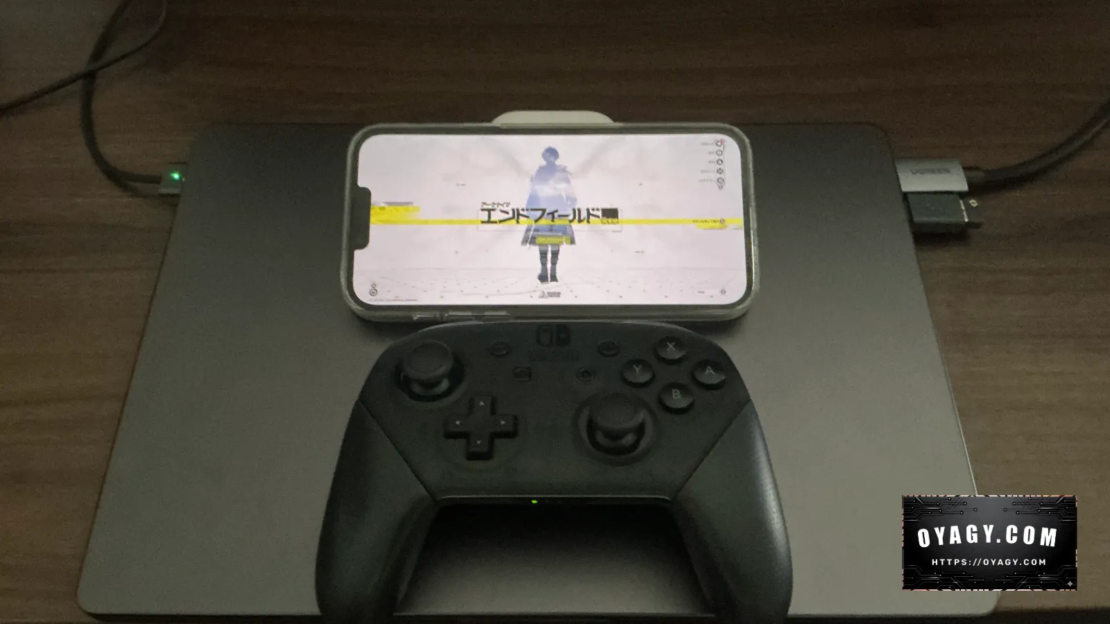 【Endfield】iPhone13ProMaxとSwitchプロコントローラーでのプレイ