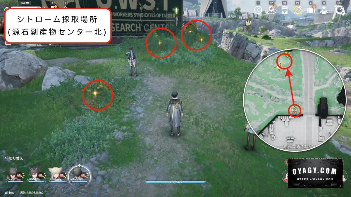 図面配置後に採種機へシトローム設定の手順でシトロームがない場合の採種場所を解説