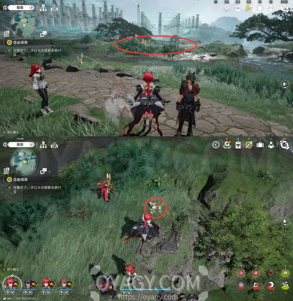 【Endfield】干からびた貯水オリジムシの場所４