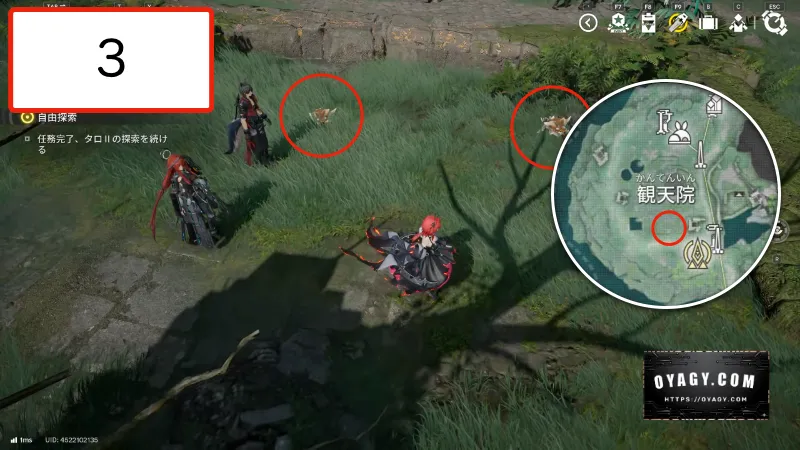 【Endfield】武陵の干からびた貯水オリジムシの場所3か所目