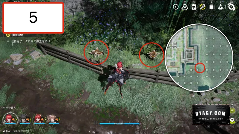 【Endfield】武陵の干からびた貯水オリジムシの場所5か所目