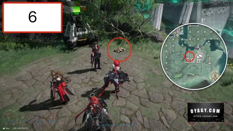 【Endfield】武陵の干からびた貯水オリジムシの場所6か所目