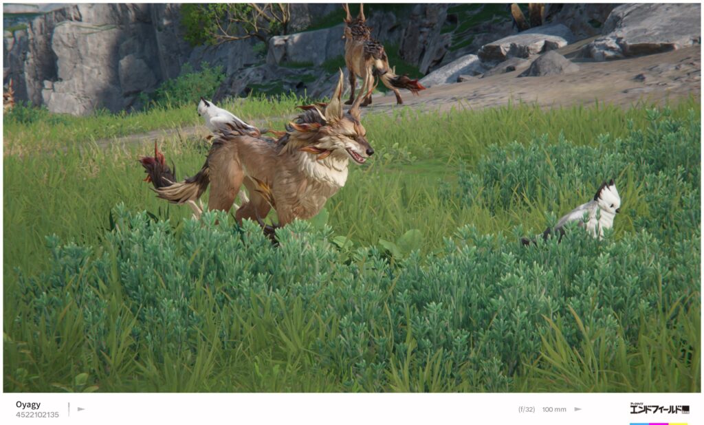 【Endfield】獣肉の集め方