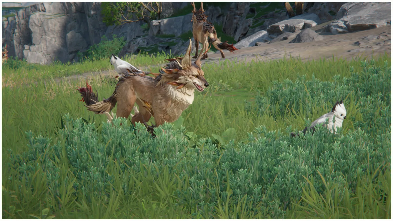 【Endfield】獣肉アイキャッチ