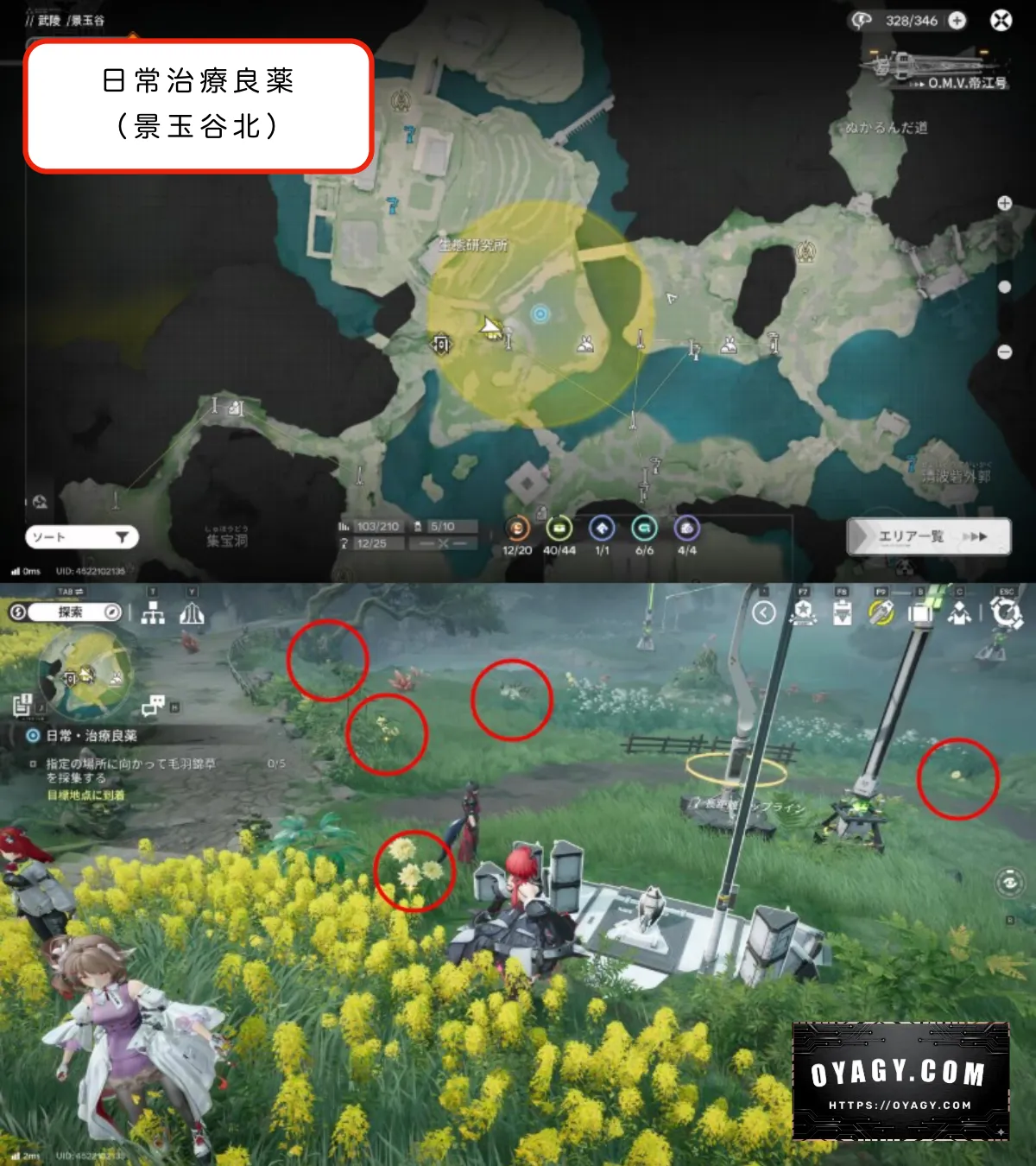 【Endfield】日常治療良薬（景玉谷北）MAP