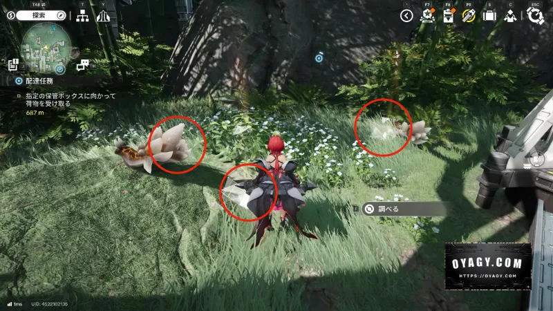 【Endfield】干からびた貯水オリジムシからの報酬