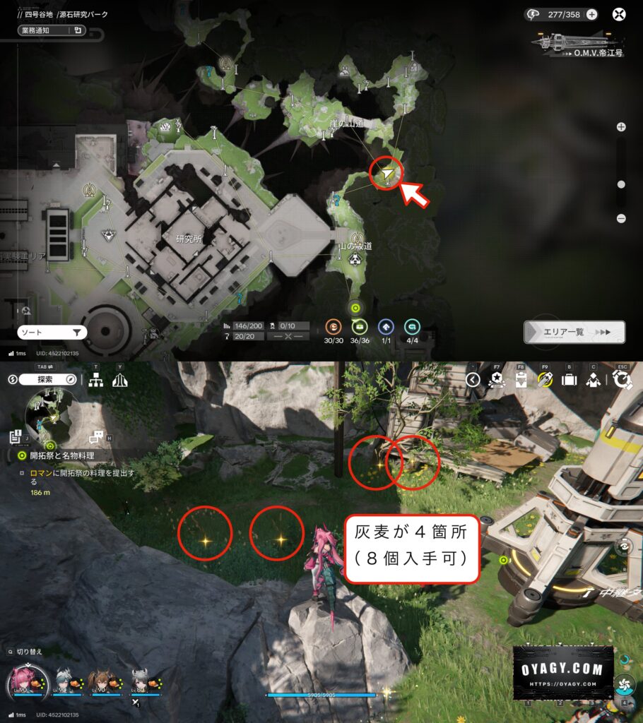 【Endfield】灰麦の採集場所