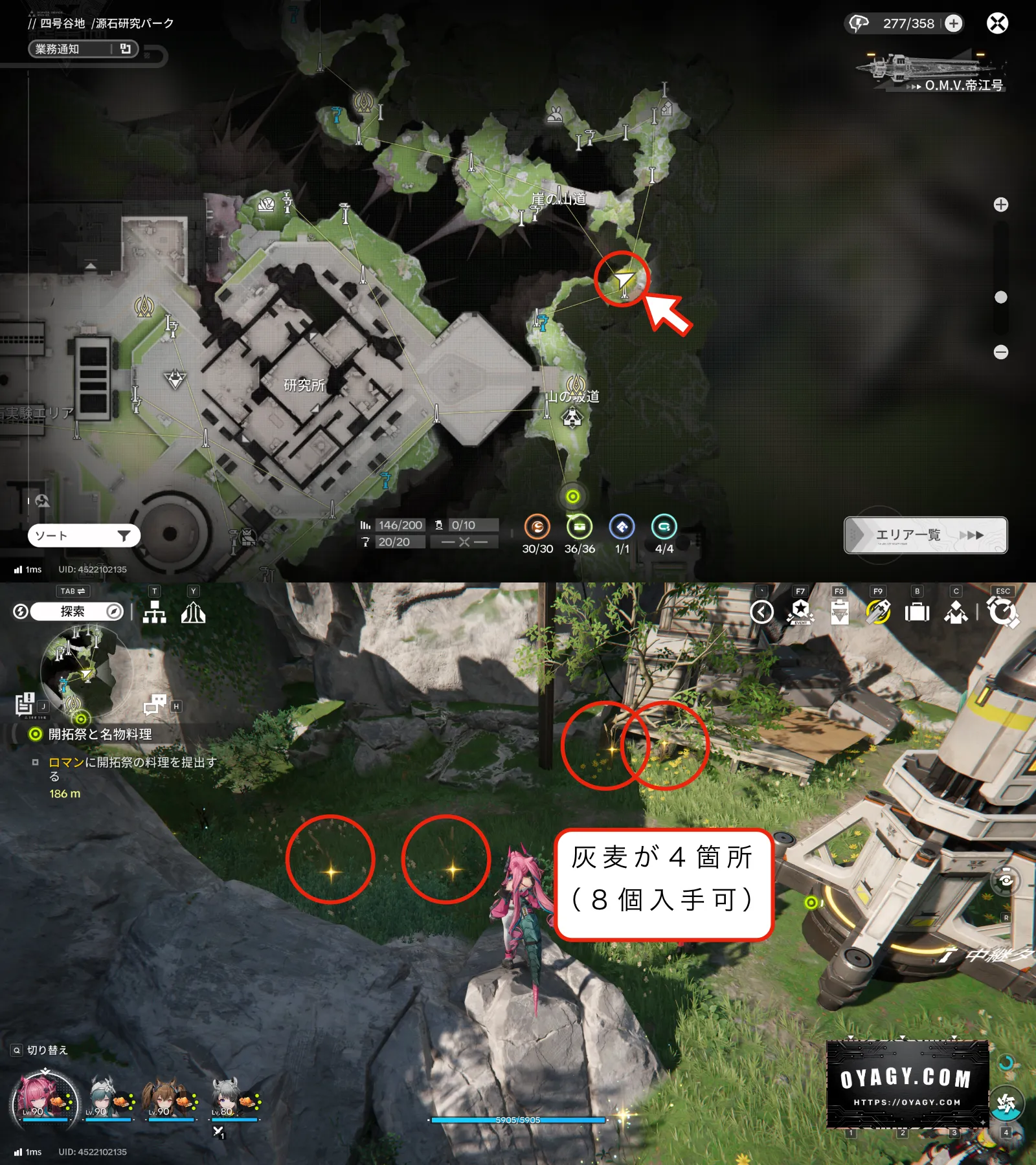 【Endfield】灰麦の採集場所