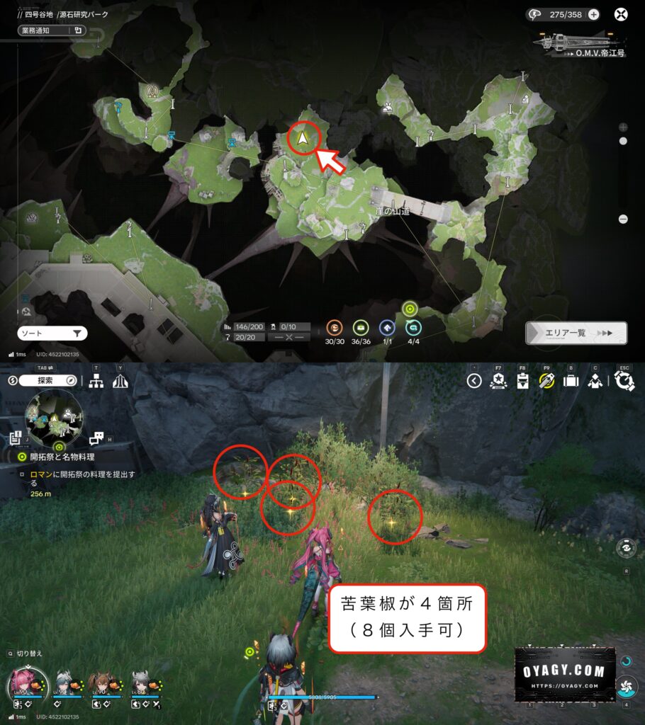 【Endfield】苦葉椒の採集場所1