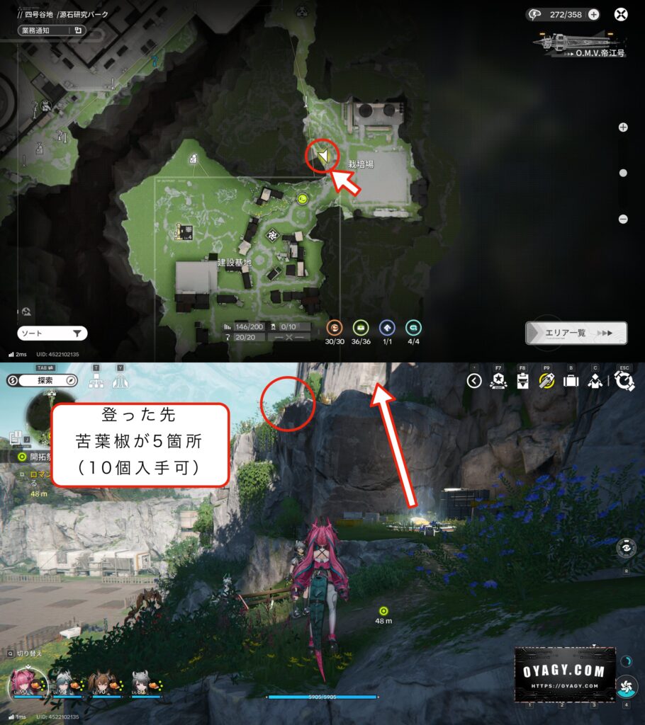 【Endfield】苦葉椒の採集場所2