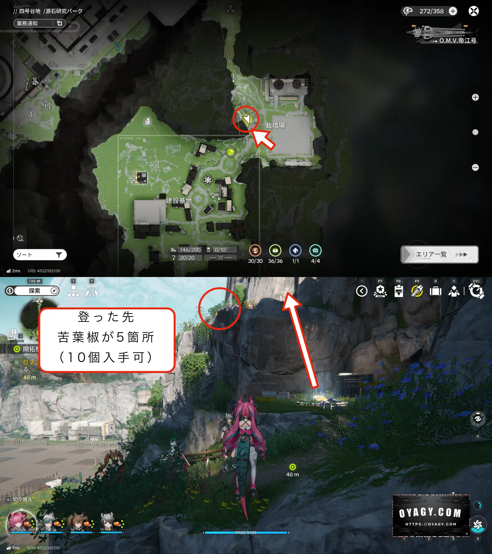 【Endfield】苦葉椒の採集場所2